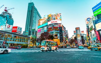 市場拡大の一環として、Cannvitalが日本国際ヘンプエキスポ2025で規制適合CBD・CRD製品を発表