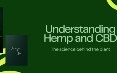 Cannabinoids 101: Complete Guide to CBD, CBG, CBN, and Beyond