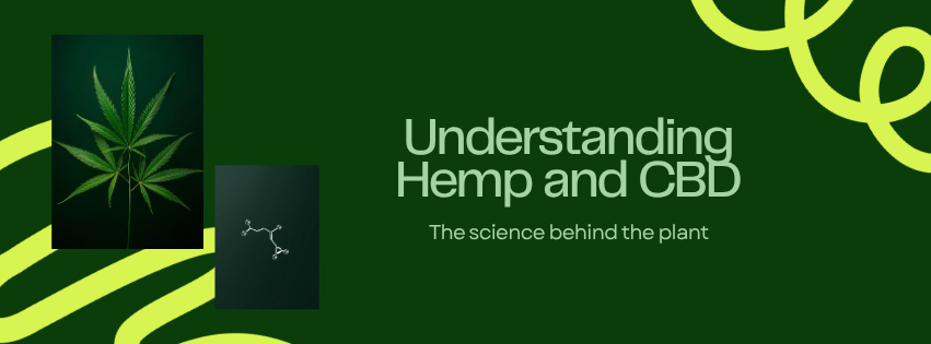 Cannabinoids 101: Complete Guide to CBD, CBG, CBN, and Beyond