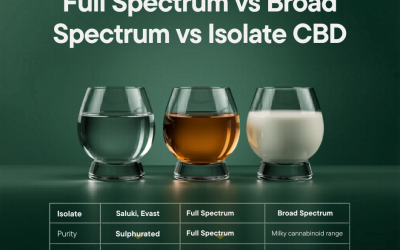 Full Spectrum vs Broad Spectrum vs Isolate: A B2B Buyer’s Guide