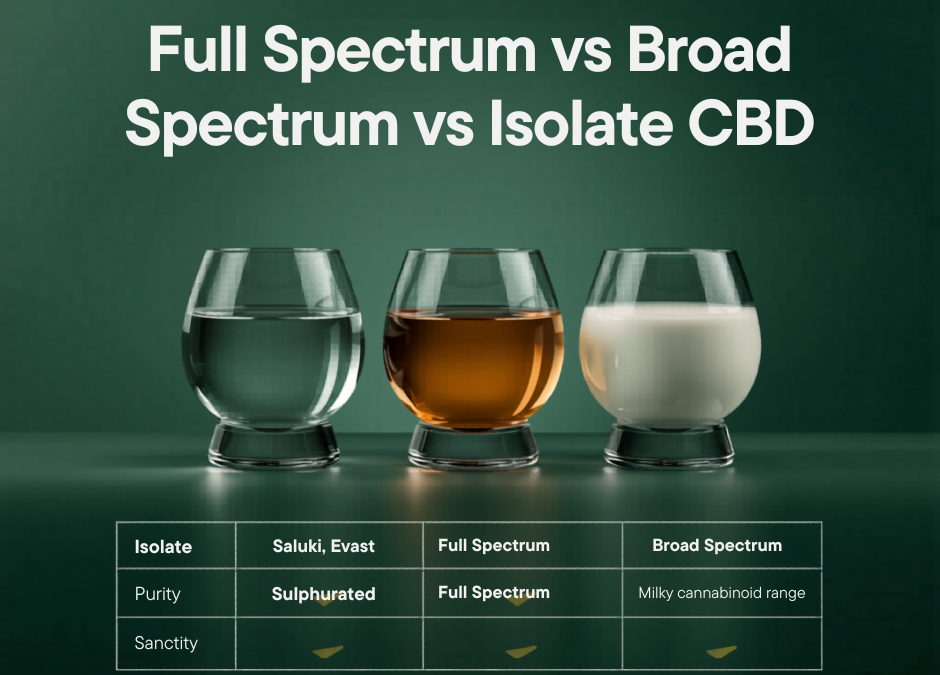 Full Spectrum vs Broad Spectrum vs Isolate: A B2B Buyer’s Guide