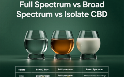 Full Spectrum vs Broad Spectrum vs Isolate: A B2B Buyer’s Guide