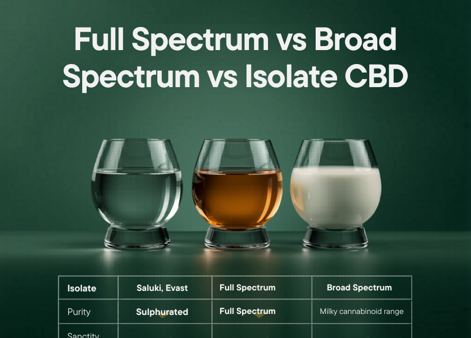 Full Spectrum vs Broad Spectrum vs Isolate: A B2B Buyer’s Guide